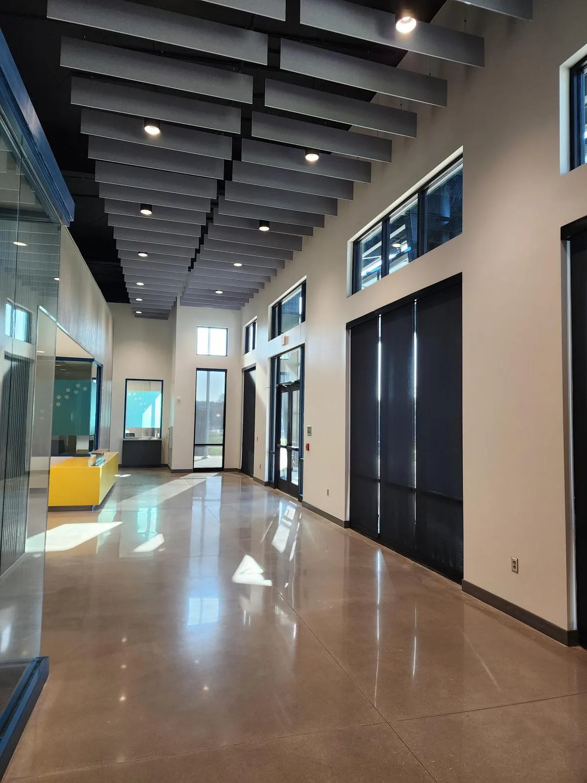 cherokee-county-animal-shelter-baffles-single (2)