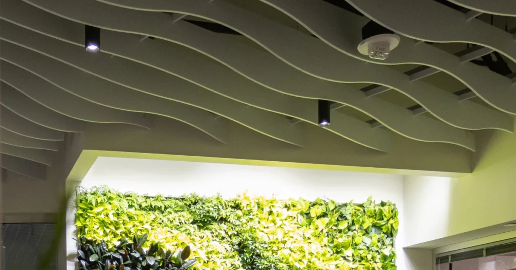 White Oaks Wealth Advisors