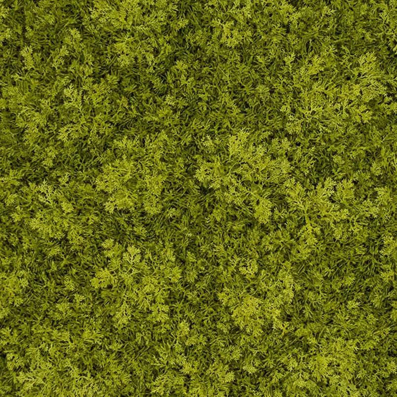 Reindeer Moss - Light Green