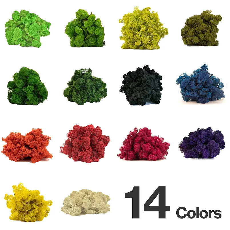 Reindeer Moss - 14 Colors
