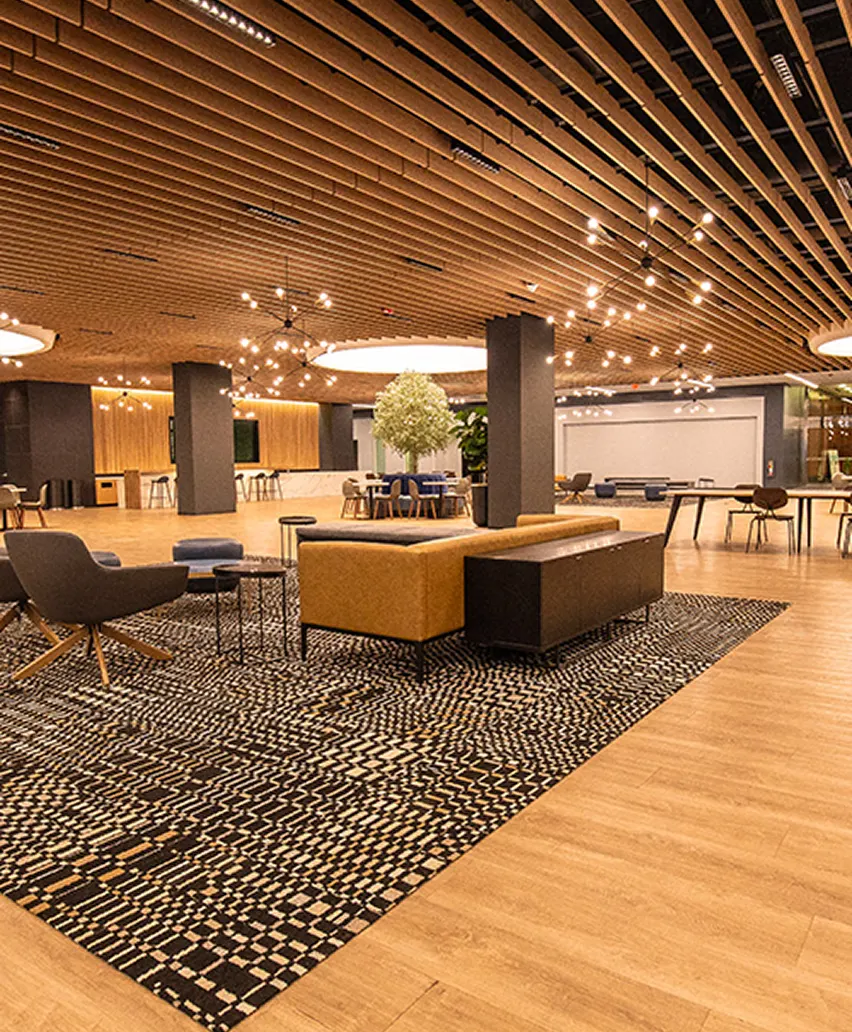 Baffles, Grilles & Beams