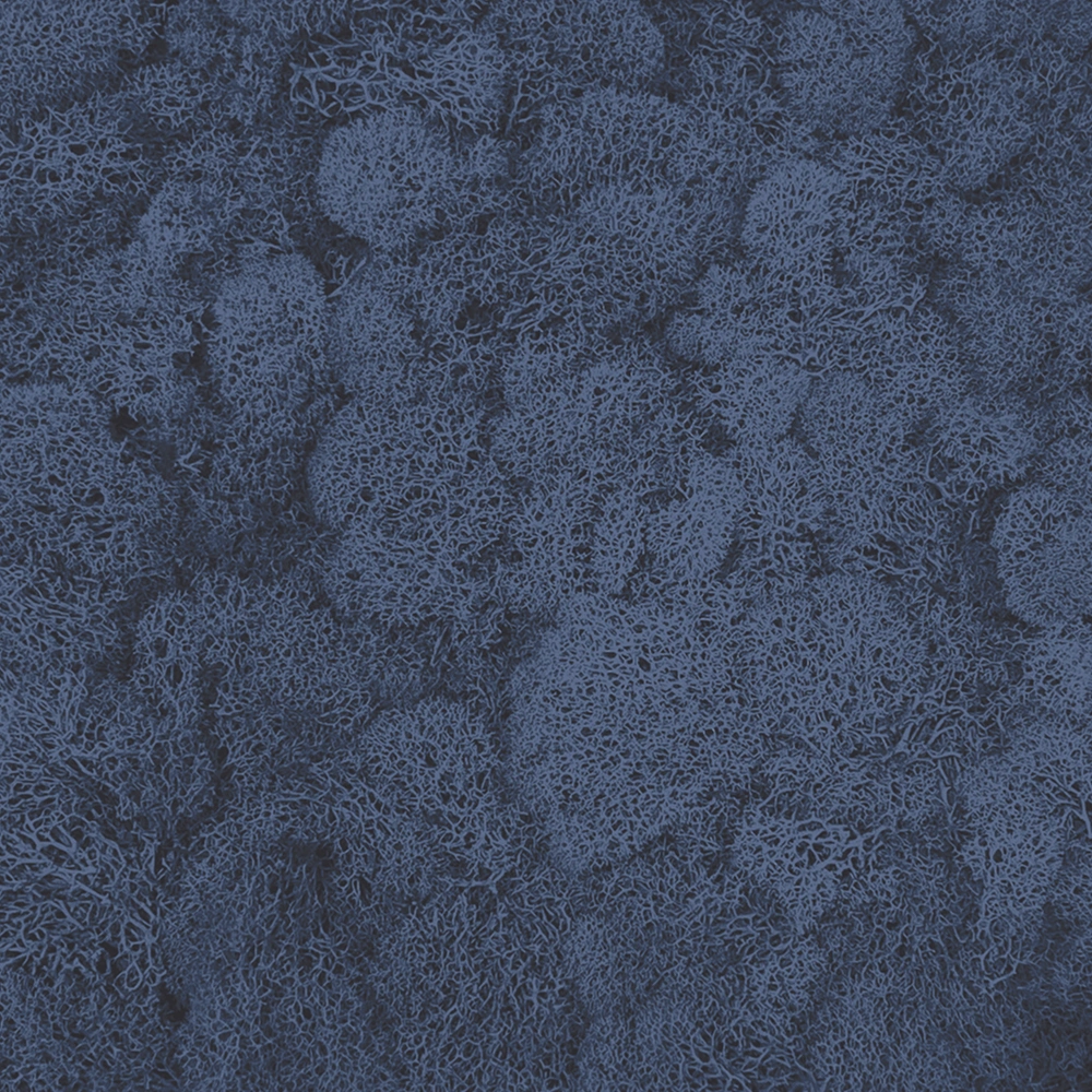 Preserved Reindeer Moss – Royal Blue