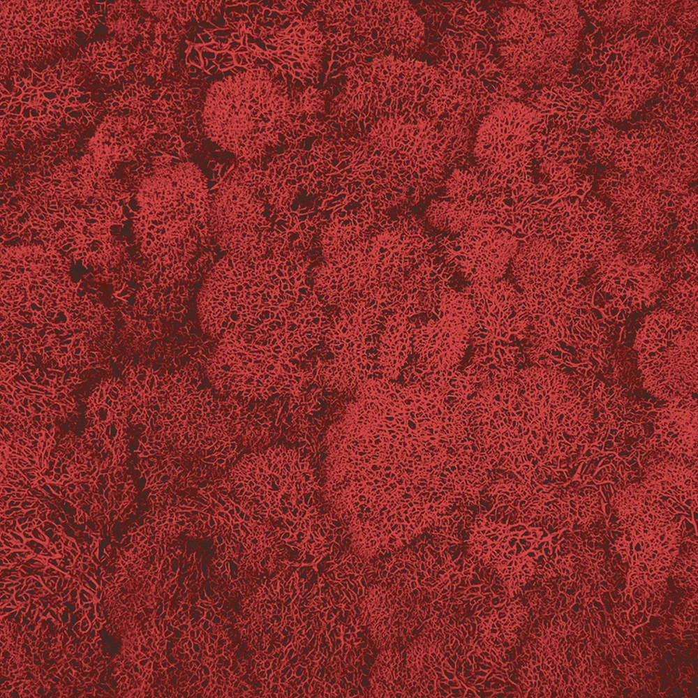 Preserved Reindeer Moss – Red