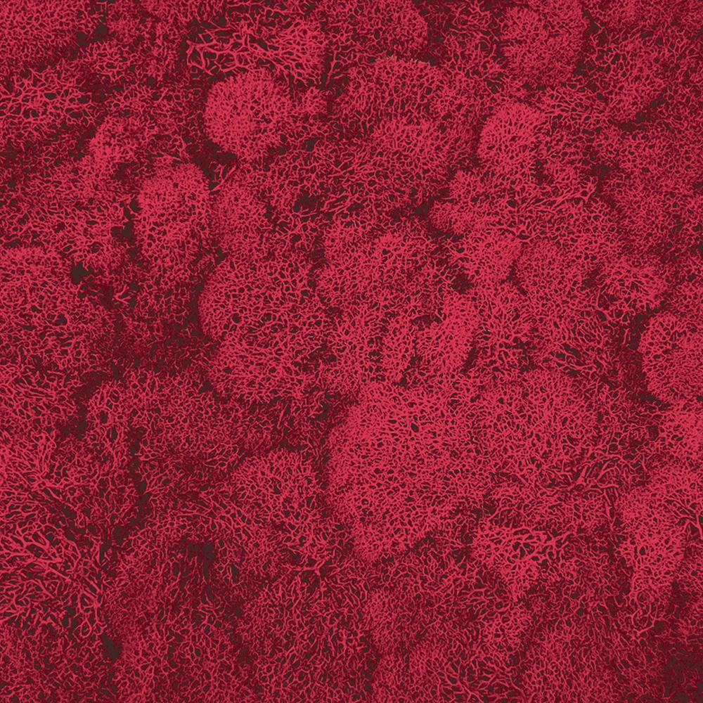 Preserved Reindeer Moss – Fuschia