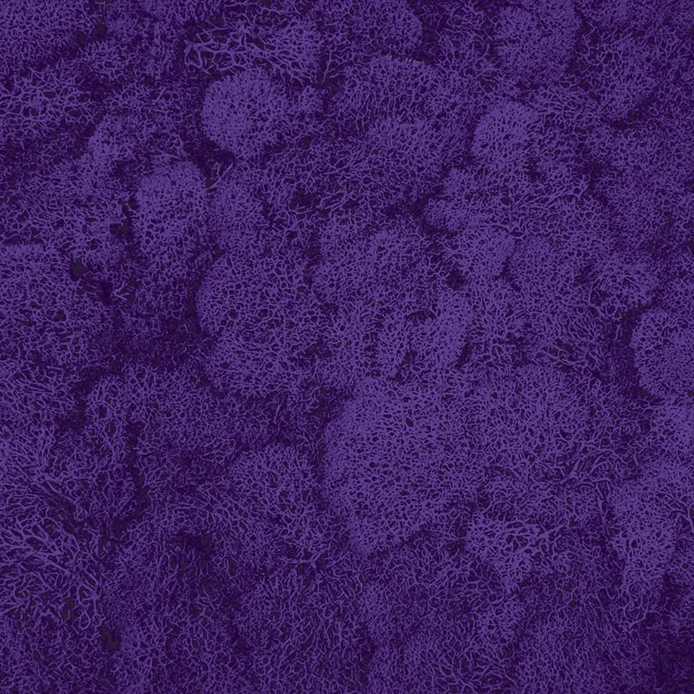 Preserved Reindeer Moss – Purple
