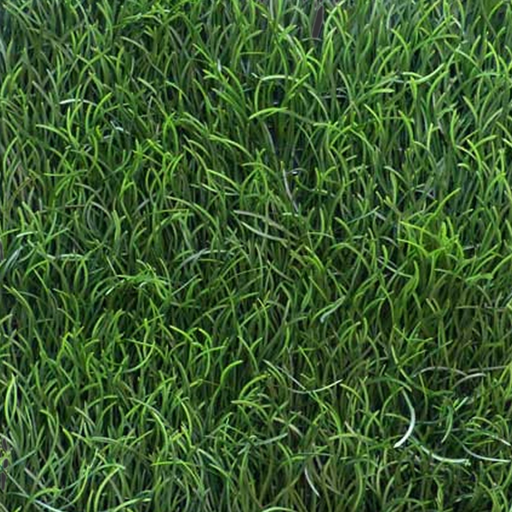 Replica Pearl Grass Mat – Medium Green