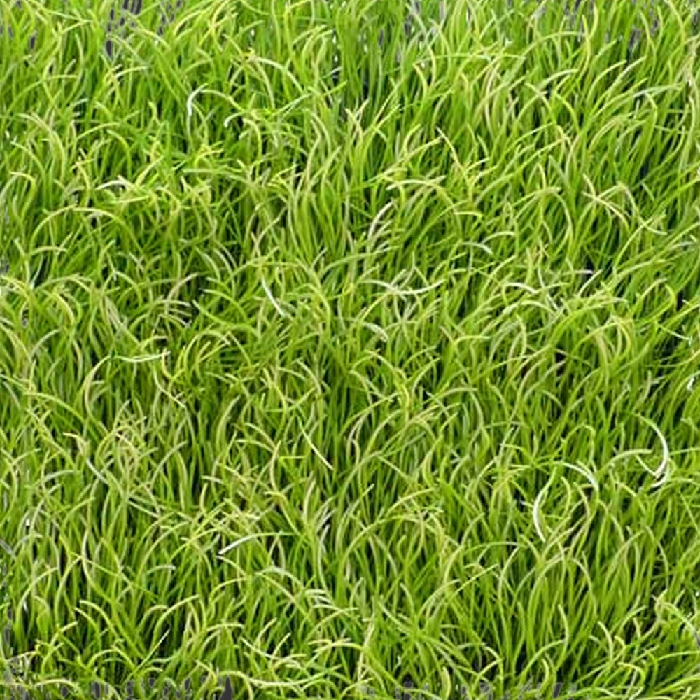 Replica Pearl Grass Mat – Light Green