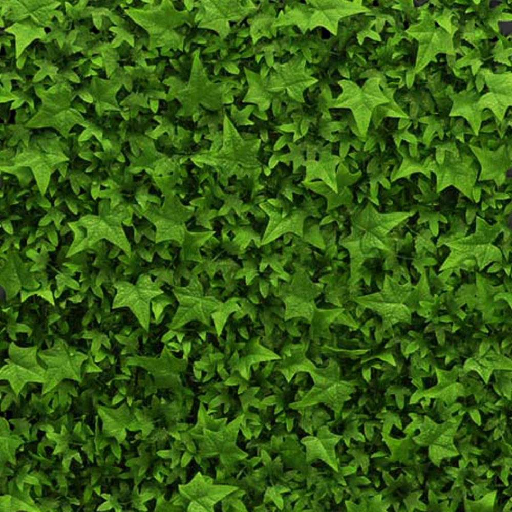 Replica English Ivy Mat – Green