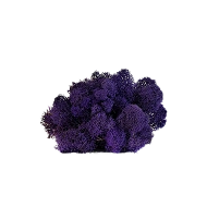 Preserved Reindeer Moss – Purple