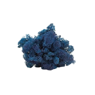 Preserved Reindeer Moss – Royal Blue