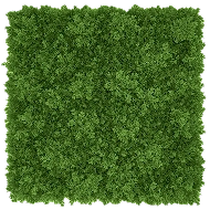 Replica Reindeer Moss Mat – Medium Green