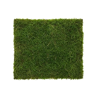 Preserved Long Moss – Green