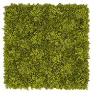 Replica Reindeer Moss Mat –  Light Green