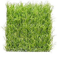 Replica Pearl Grass Mat – Light Green