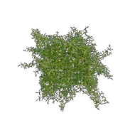 Replica Spanish Moss Mat – Green/Brown